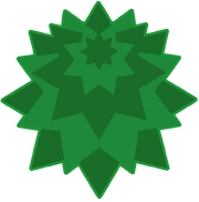Fir