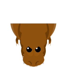 T-rex3