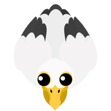 Pelican