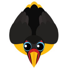Toucan (4)