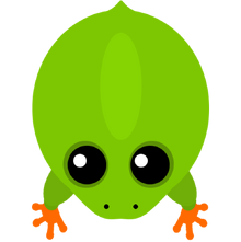 Frog2