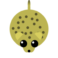 Cheetah-0