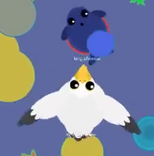 PelikanChlapie
