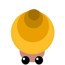 Snail