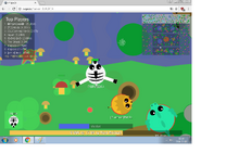 Zebrakopie