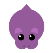 Hippo