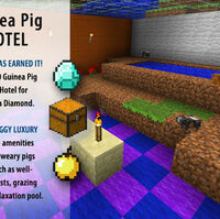 guinea pig hotel