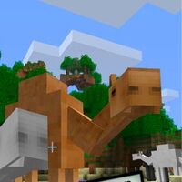 Camel Morecreeps And Weirdos Wiki Fandom