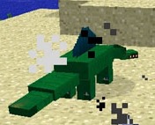 Desert Lizard