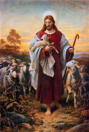 Christshepherd