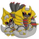 Giras