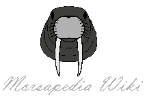 Wiki