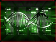 ADN