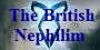 BN banner