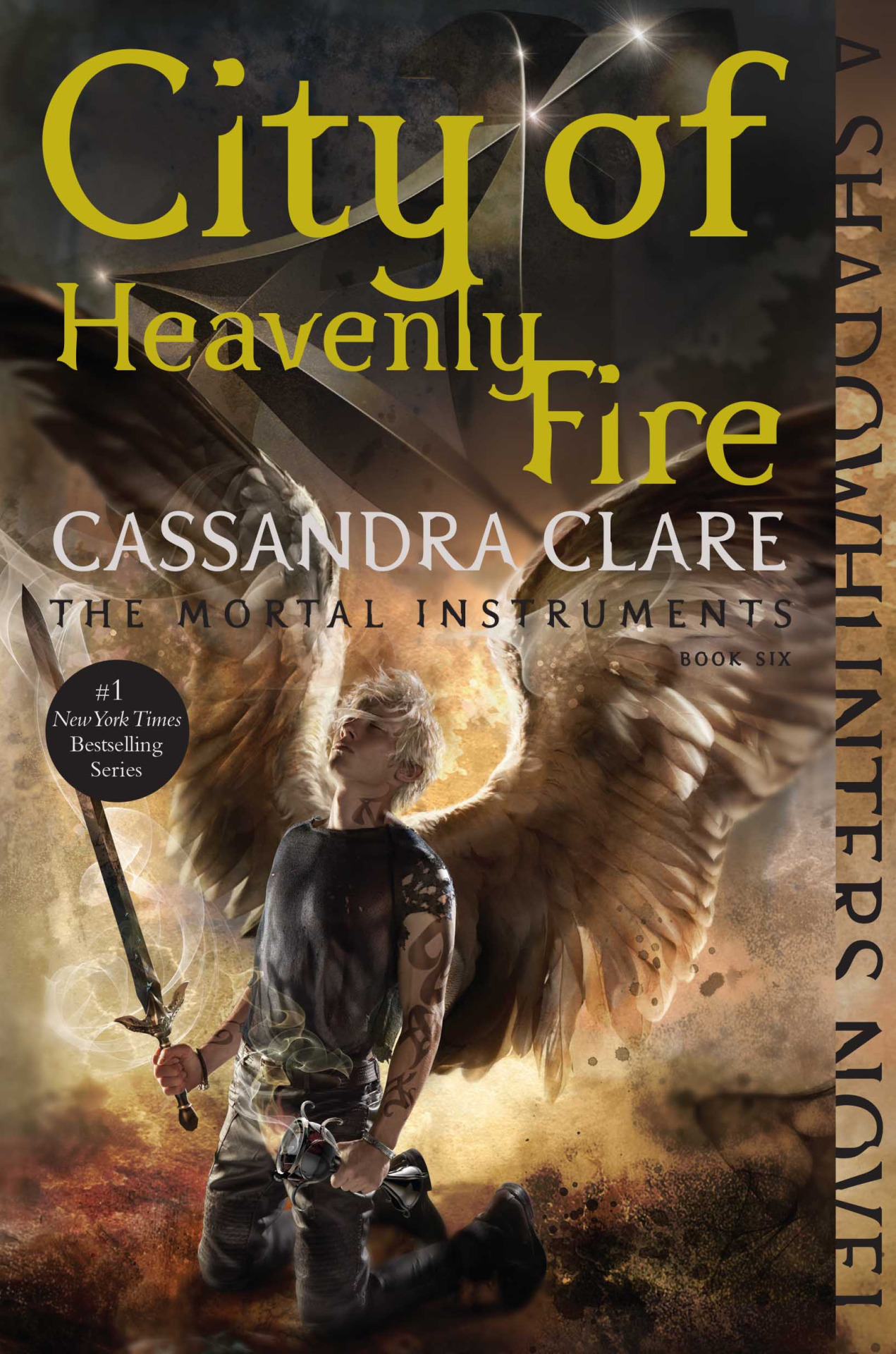 city of heavenly fire book