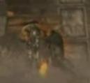 Jax11