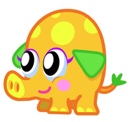 Moshi