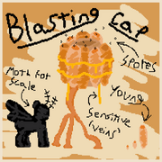 Blasting cap