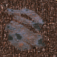 Ironium