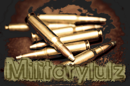 Logo - Military Lulz