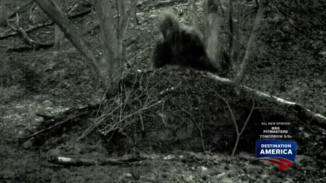 image grassman png mountain monsters aims wikia fandom powered