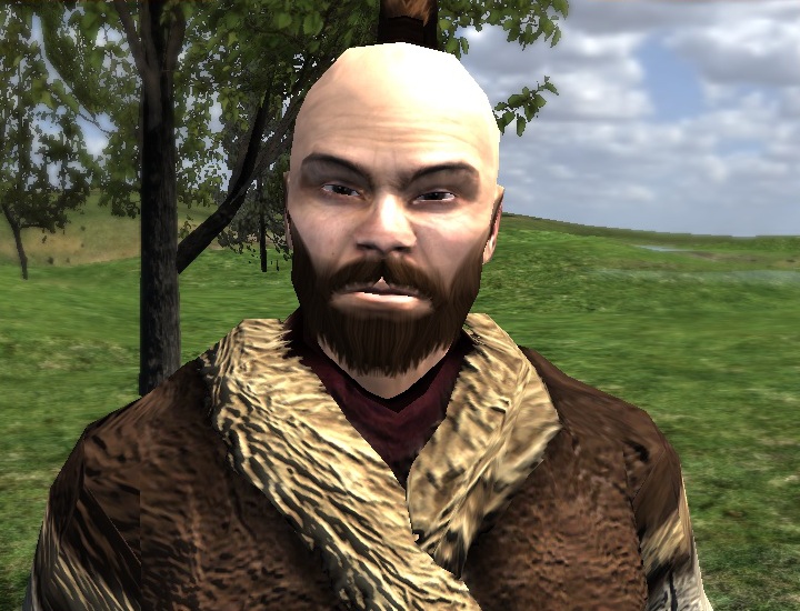 mount and blade wiki companions