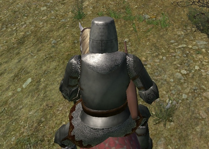 mount and blade lance