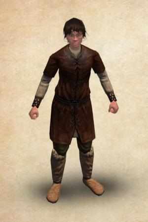 Mount and blade warband xerina bannerlord