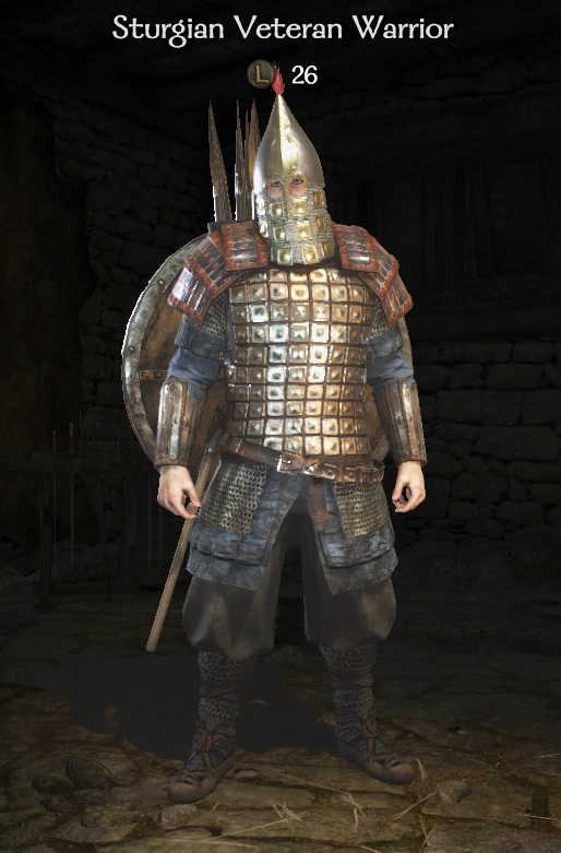 Sturgian Veteran Warrior Mount & Blade Wiki Fandom