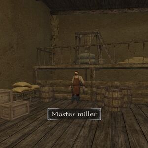 Mount And Blade Dyeworks