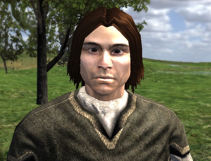 mount and blade wiki companions