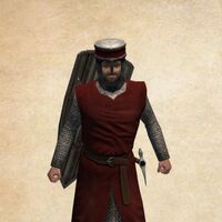 Swadian Infantry Mount Blade Wiki Fandom