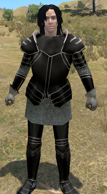 mount and blade with fire and sword armor
