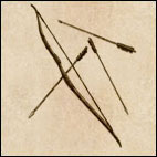 Weapons-bows-mount-blade