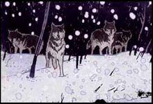 Wolves