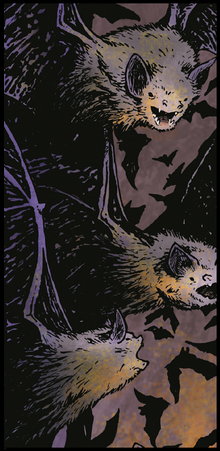 Bats