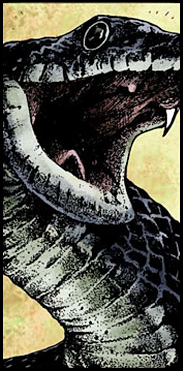Snake