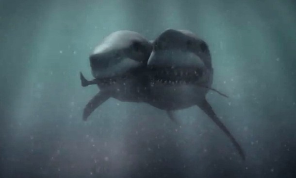 Image - 2-Headed shark 001.jpg | Movie Database Wiki | FANDOM powered