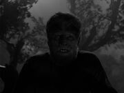 Wolf man chaney