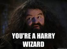 (User-Ily23)-Lol yes