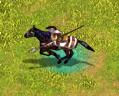RomanCavalier