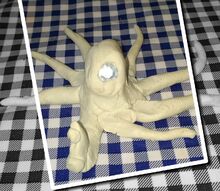 Monoocularictopus