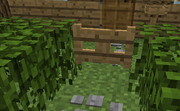 Hedges connecting fencegate