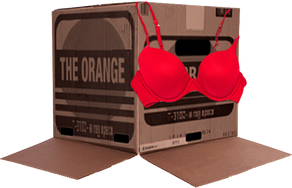 BoxBra
