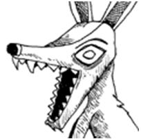 Coyote