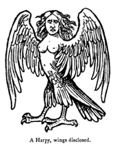 Harpy bitch