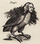 Harpy slut 2