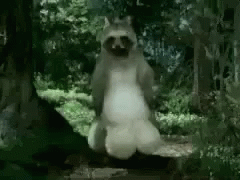 File:Image.gif