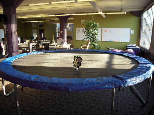 File:Felixtrampoline.jpg