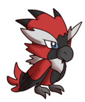 Rare Chirrup